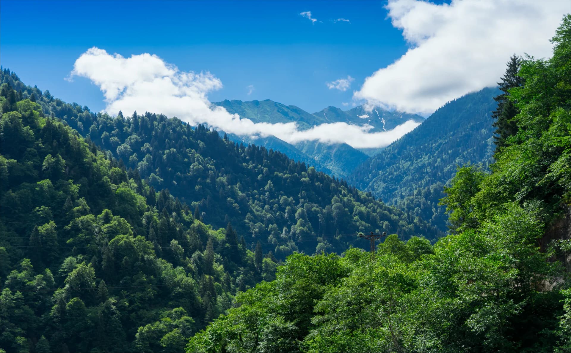 01_Proclime journey.webp