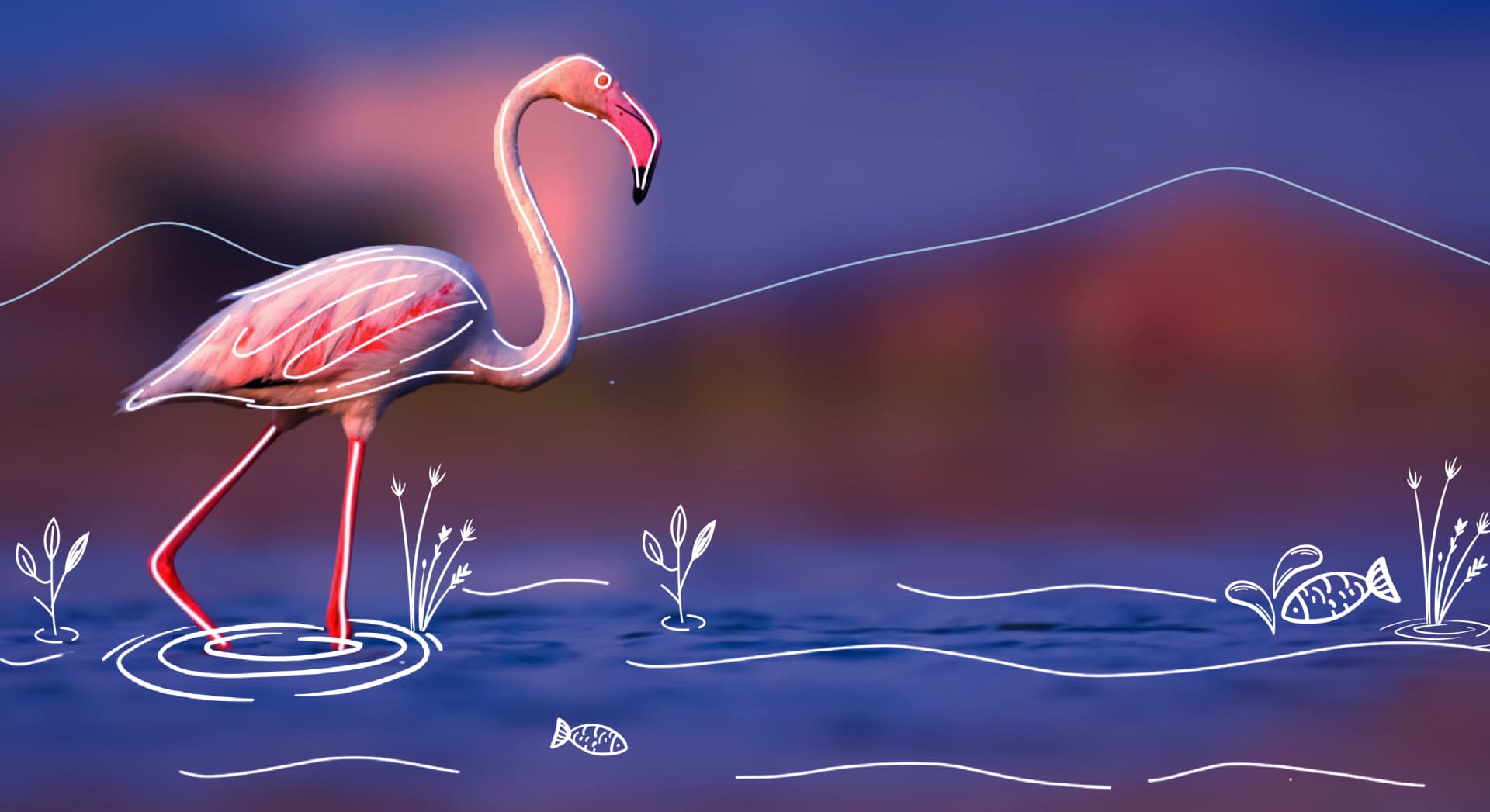 What we offer_NBS.webp